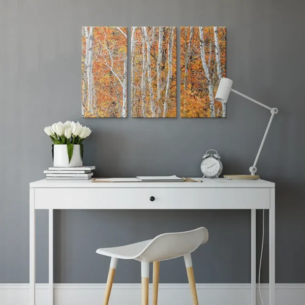 Autum Leaves & Birch Trees 3 - Image 4