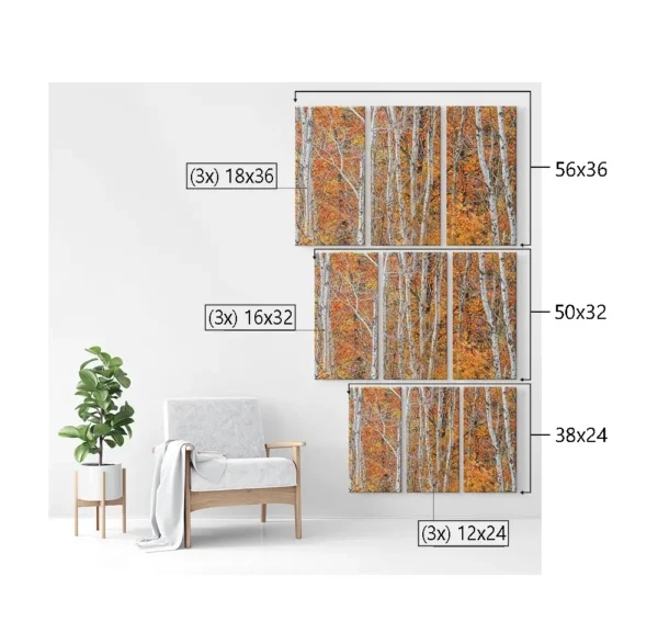 Autum Leaves & Birch Trees 3 - Image 2