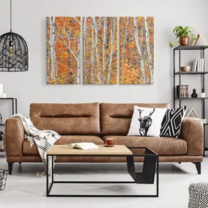 Autum leaves and birtch trees 3 panel canvas print