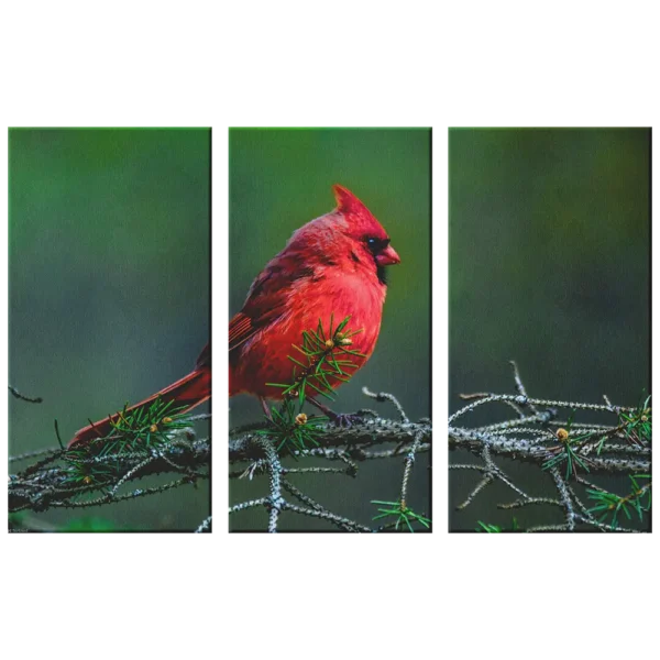 cardinal on the pine product display