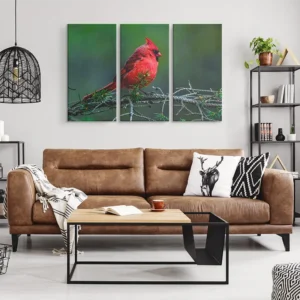 cardnal on a pine tree branch 3 panel canvas prit