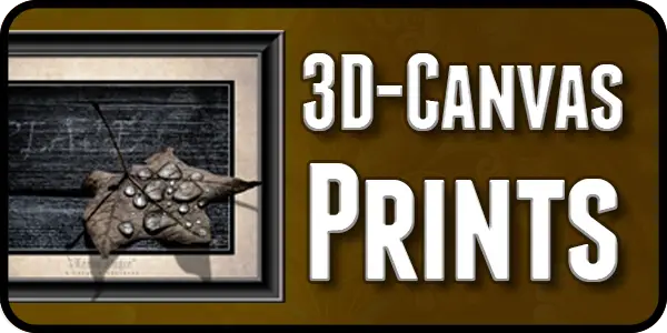 3D Canvas Prints